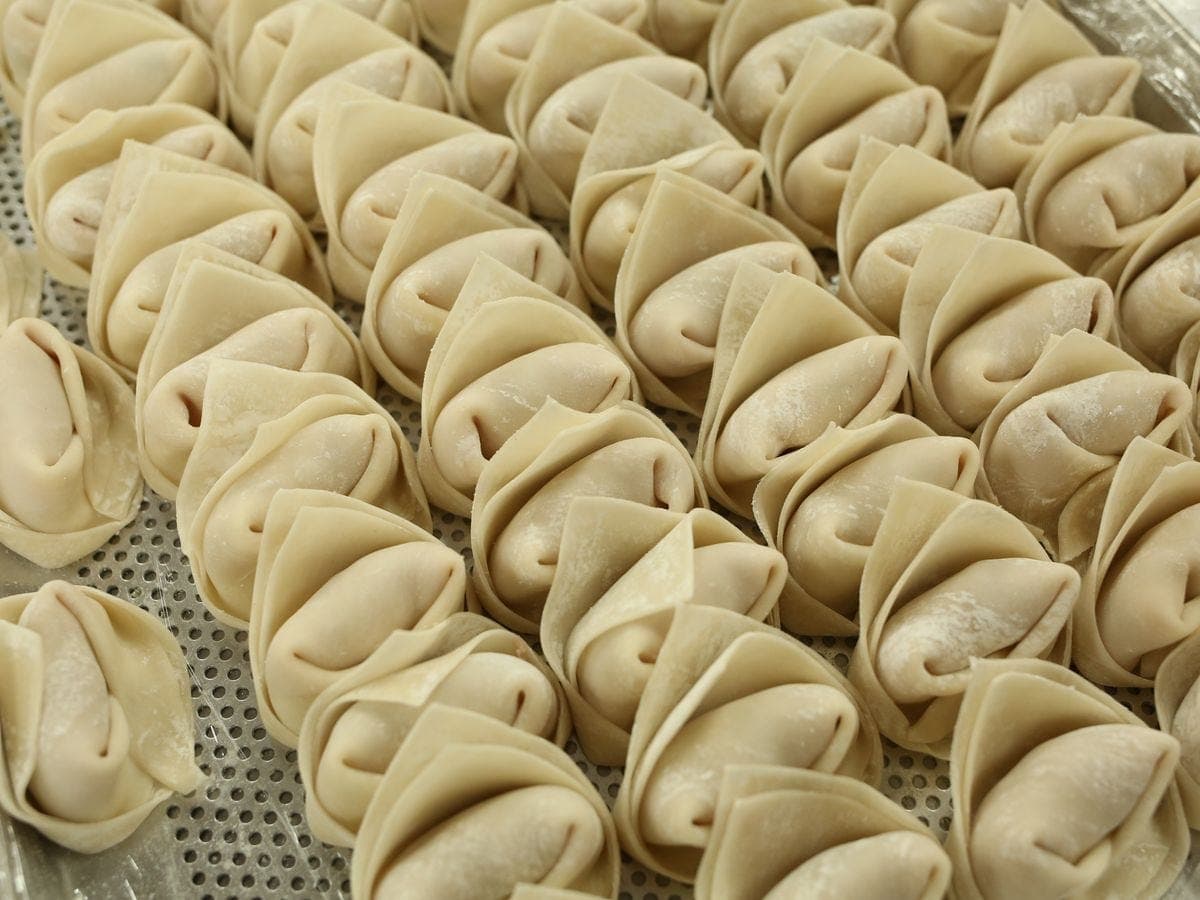 Wonton dumplings